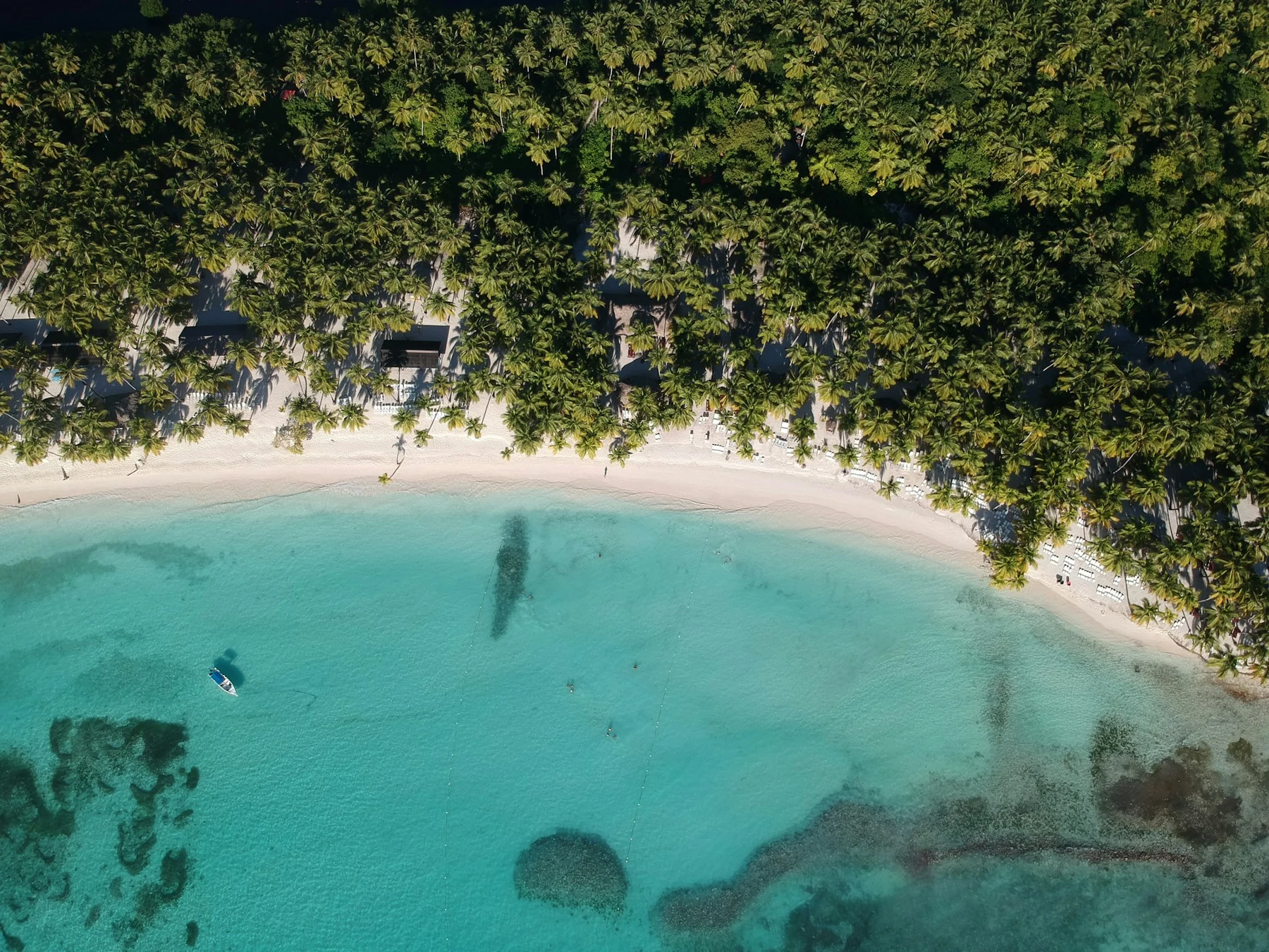 El Duelo Definitivo: Riviera Maya vs. Punta Cana