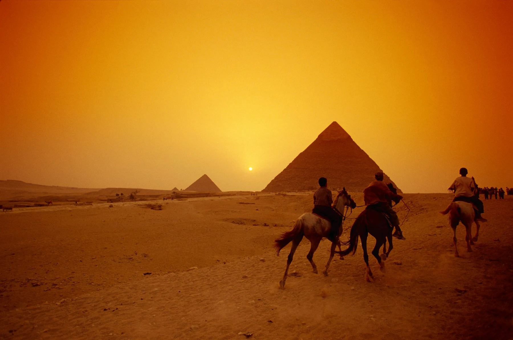 🐪 El Espejismo de los Faraones: Cómo asaltar las Pirámides de Giza sin ser desplumado