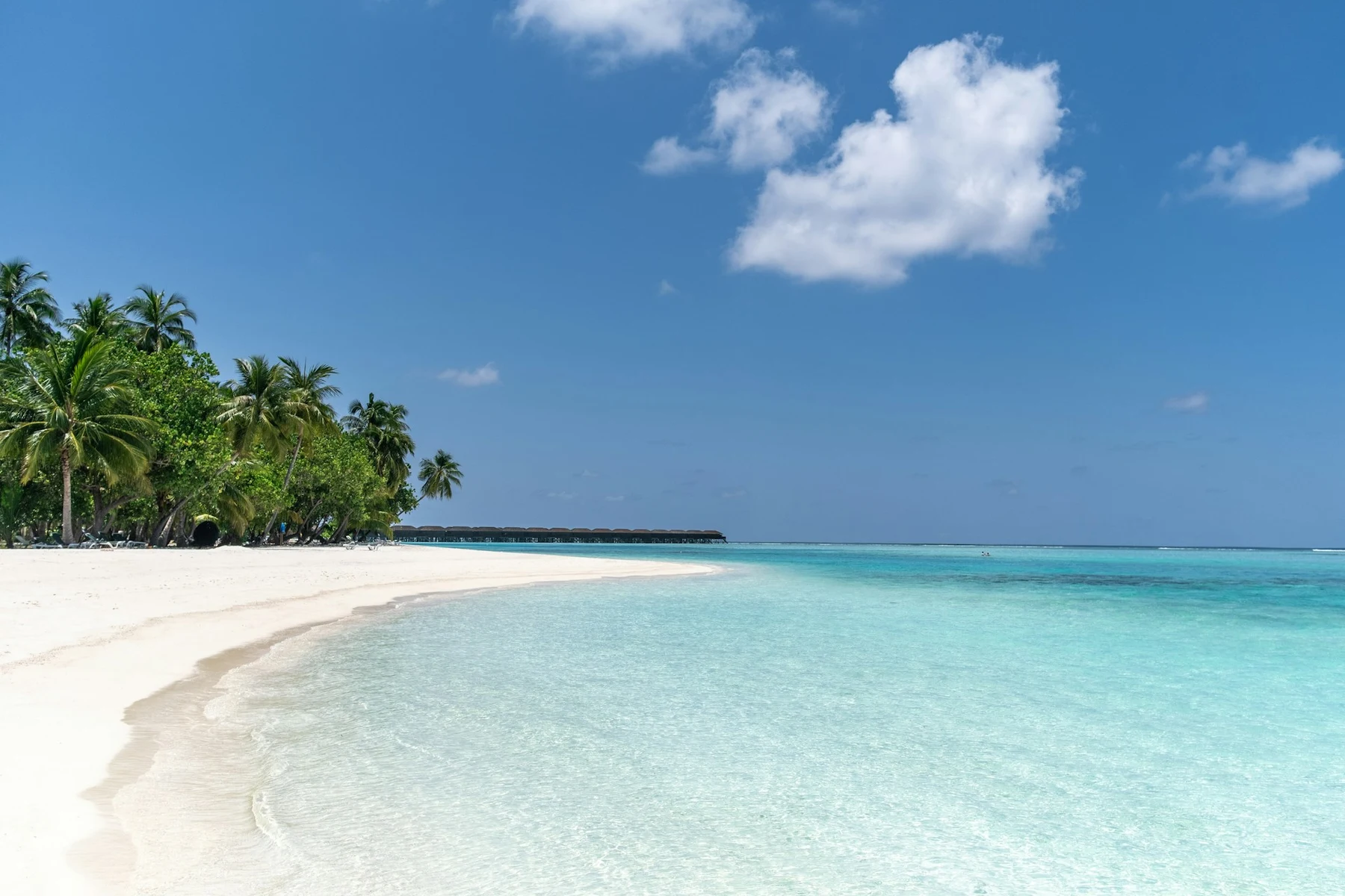 El Duelo Definitivo: Riviera Maya vs. Punta Cana