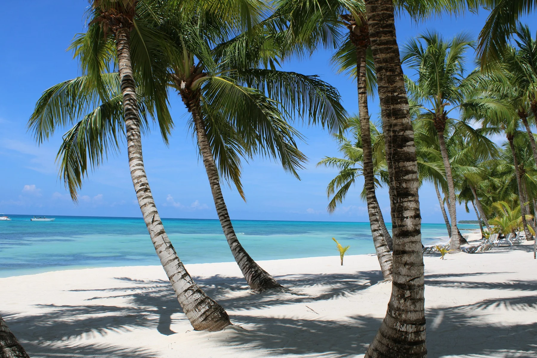 El Duelo Definitivo: Riviera Maya vs. Punta Cana