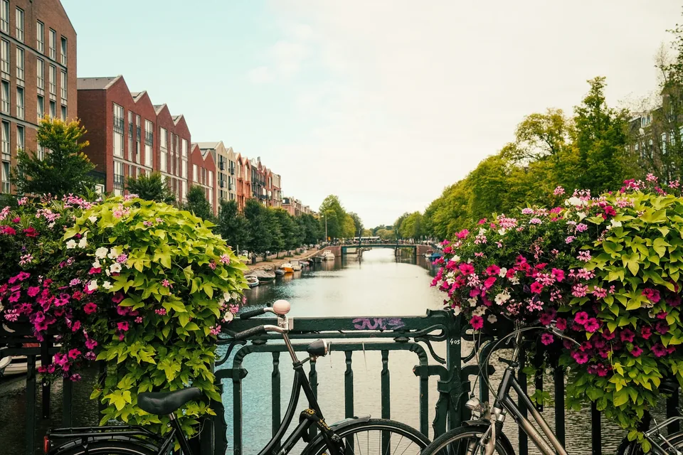 🧚 Ruta mágica por Ámsterdam y el Parque Efteling durante 6 días 🚗