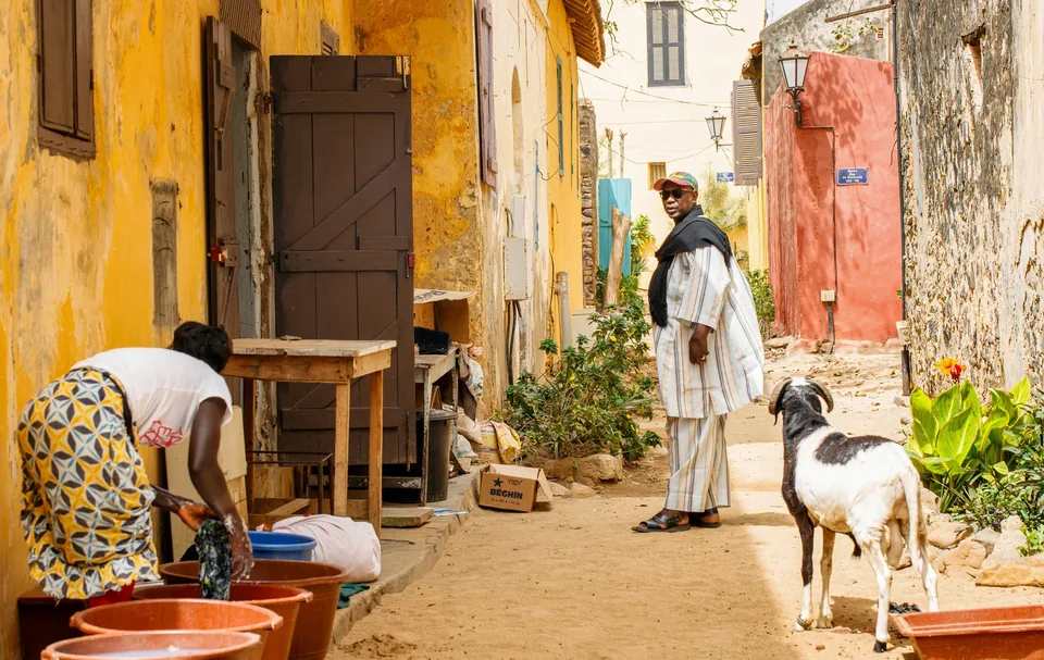 🇸🇳🦁 ¡Descubre la magia de África! Circuito por Senegal de 9 días 🏖️