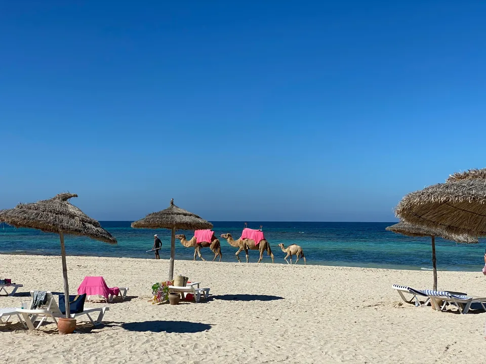 🌵 Túnez + Playas: 8 días a Tu Aire + Hotel + Vuelos