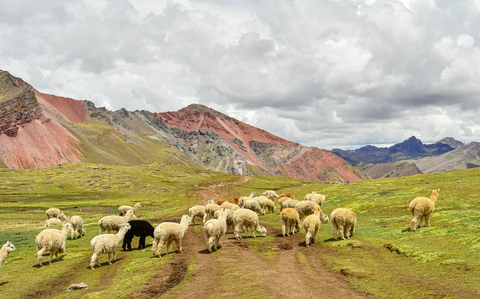 🦙 Perú: 12 Dias a Tu Aire + Hotel + Vuelo