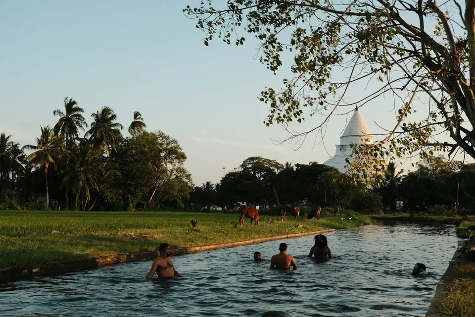 🛕 Sri Lanka: 10 días de Circuito Privado + Hoteles + Vuelos