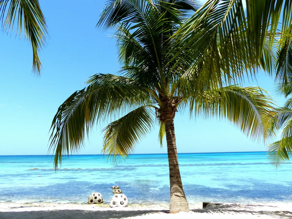 🍹 Bayahíbe y Punta Cana: 9 Días + Hotel + Vuelos