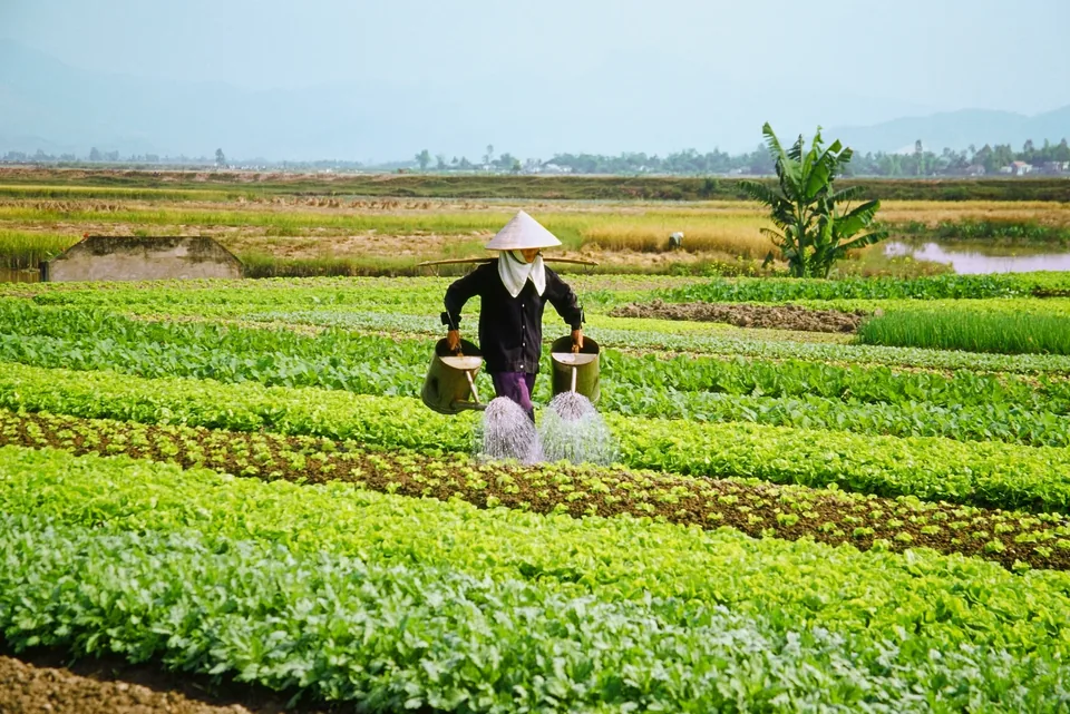 🧘‍♀️ Vietnam: 9 Días a tu Aire + Hoteles + Vuelos