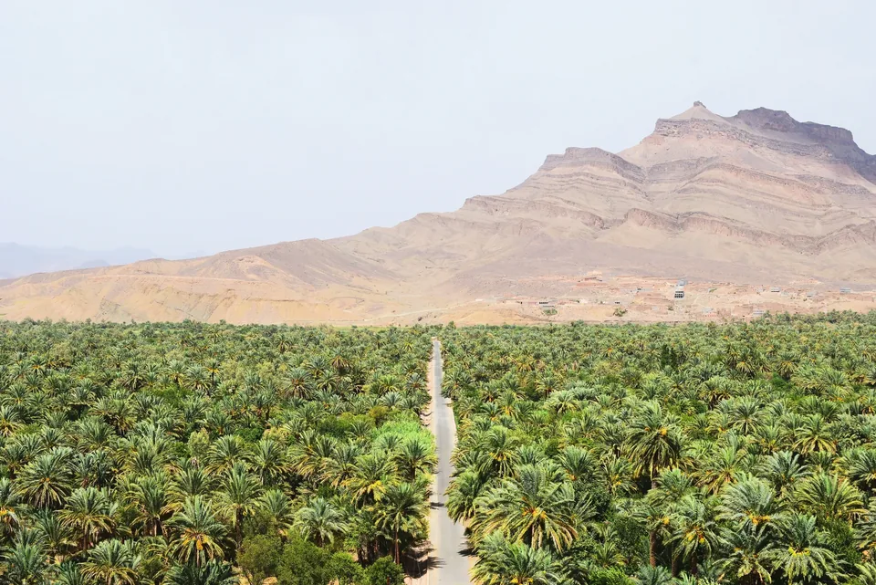 🐪 Marruecos: Circuito privado de 7 días + Hoteles + Vuelos