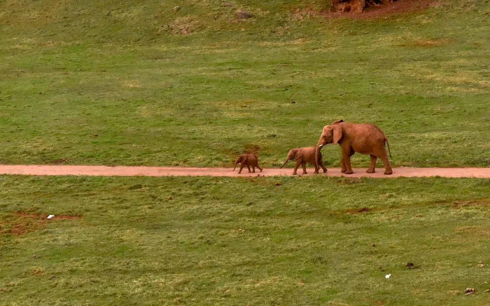 🌲 Cantabria: Escapada de Fin de Semana con visita a Cabárceno