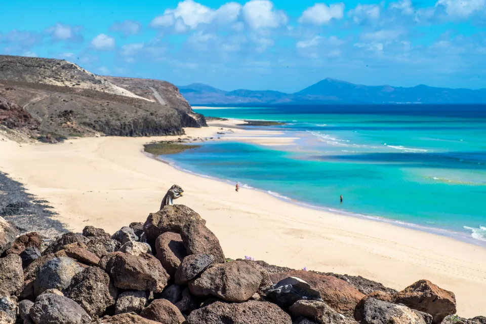 🍹¡Todo Incluido en Fuerteventura! 7 Noches con Vuelos + Hotel 4⭐️