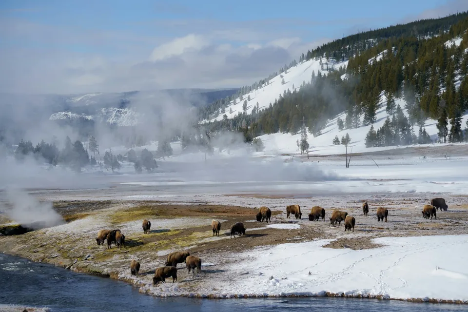 🐻 Yellowstone: 15 días a Tu Aire 🚗 + Hoteles + Vuelos