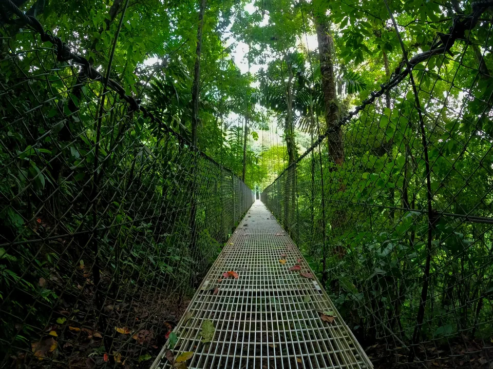 🦜 Costa Rica: 11 días a tu aire +Hoteles + Vuelos + Coche