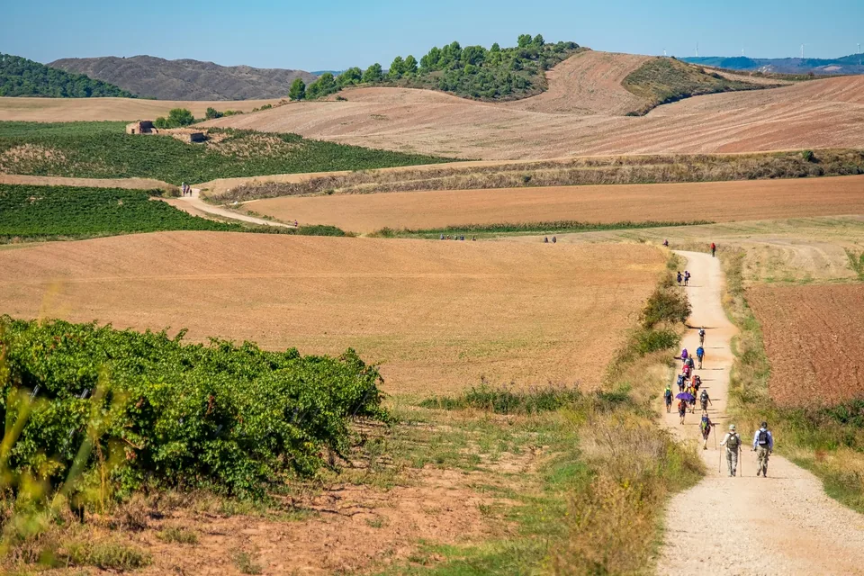 🚴‍♂️✨ Camino de Santiago en Bicicleta