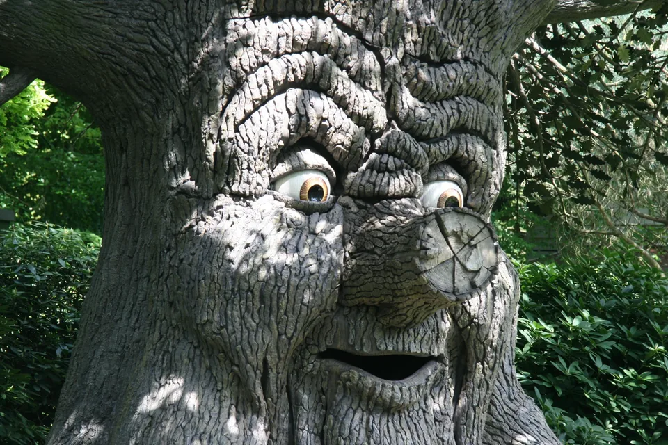 🧚 Ruta mágica por Ámsterdam y el Parque Efteling durante 6 días 🚗