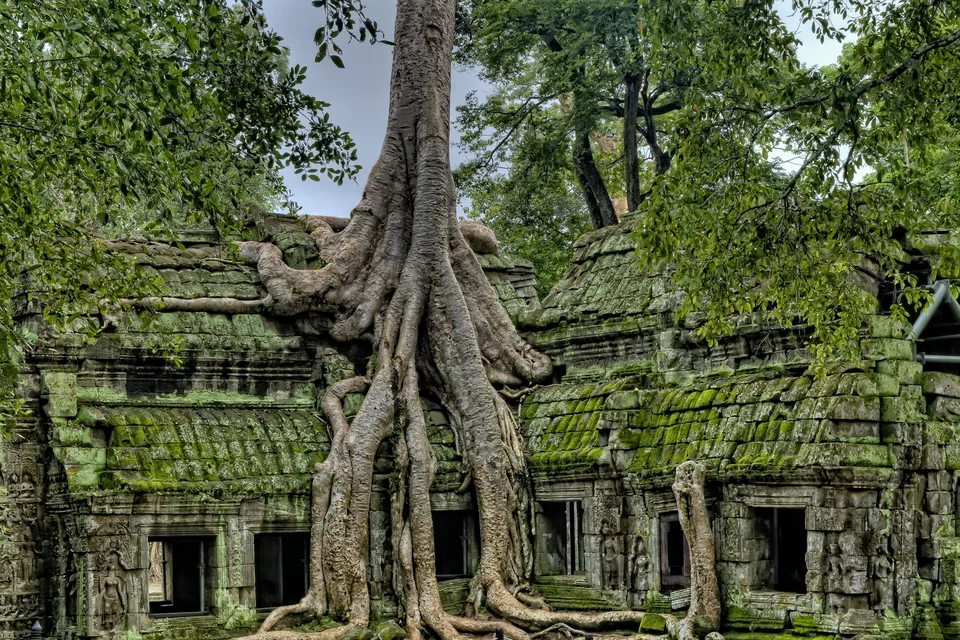 🐲 Vietnam y Camboya: Circuito de 17 días + Crucero