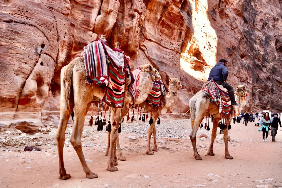 🏛️ Jordania: Circuito 8 días + Hoteles + Vuelos