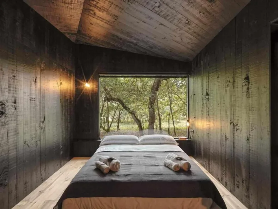 🌲 Galicia: Cabañas de Diseño + Desayuno Incluido