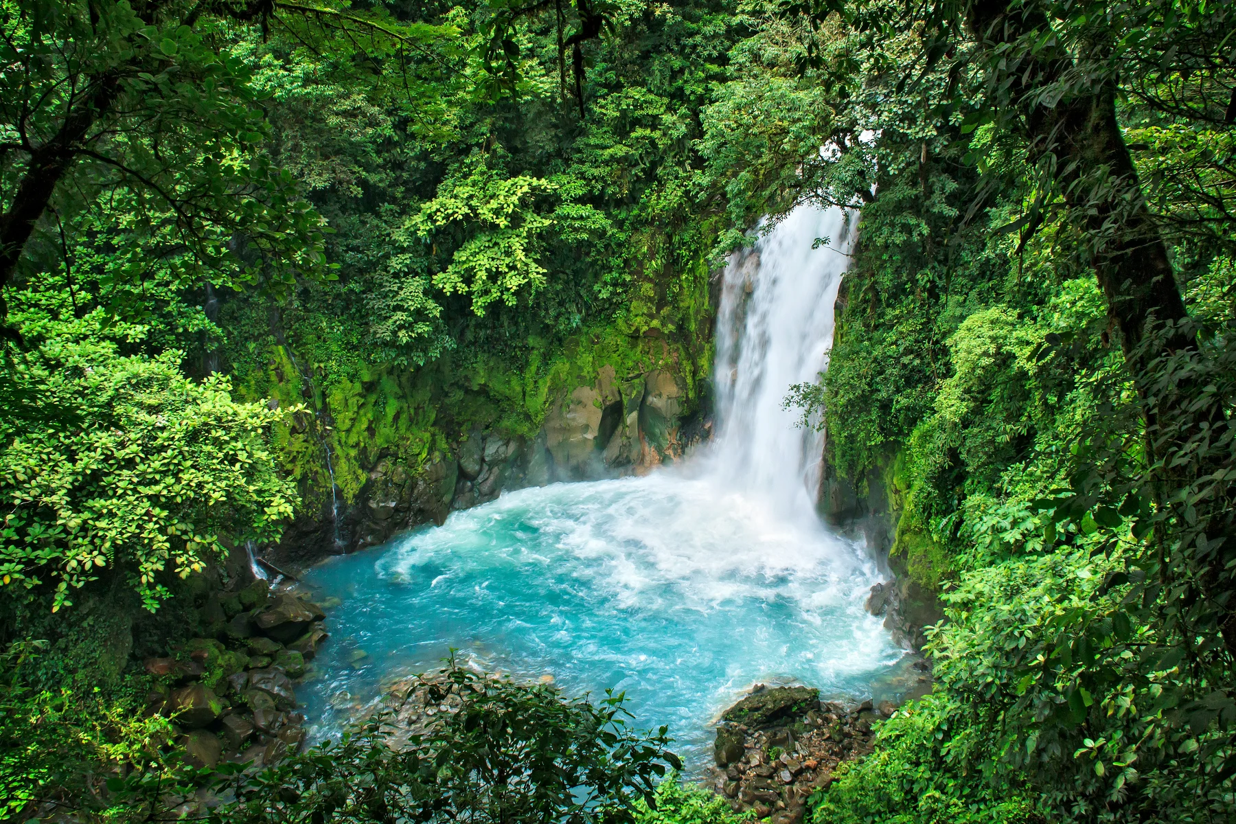 🇨🇷🐒 ¡El viaje de tu vida! Costa Rica a tu aire durante 11 días 🚗