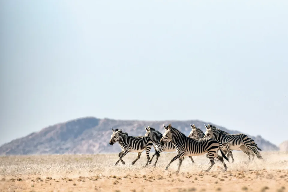 🐆 Namibia: 11 días a Tu Aire🚗 + Hotel + Vuelos