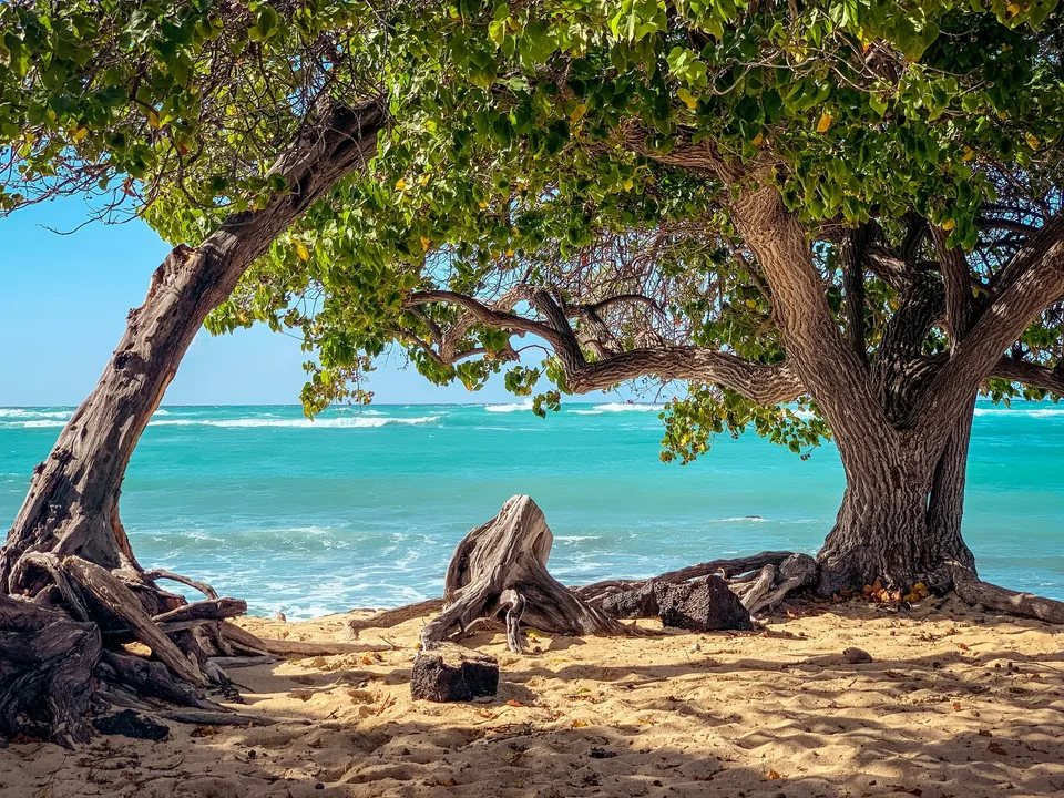 🌴 Hawai: 14 Dias a Tu Aire 🚗 + Hoteles + Vuelos