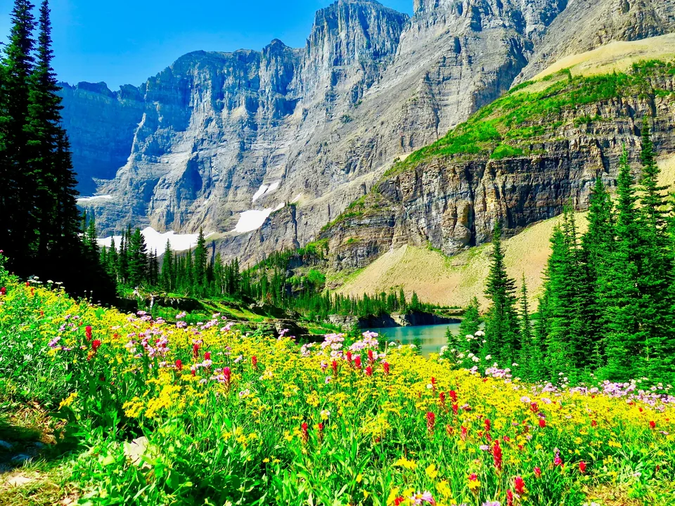🐻 Yellowstone: 15 días a Tu Aire 🚗 + Hoteles + Vuelos