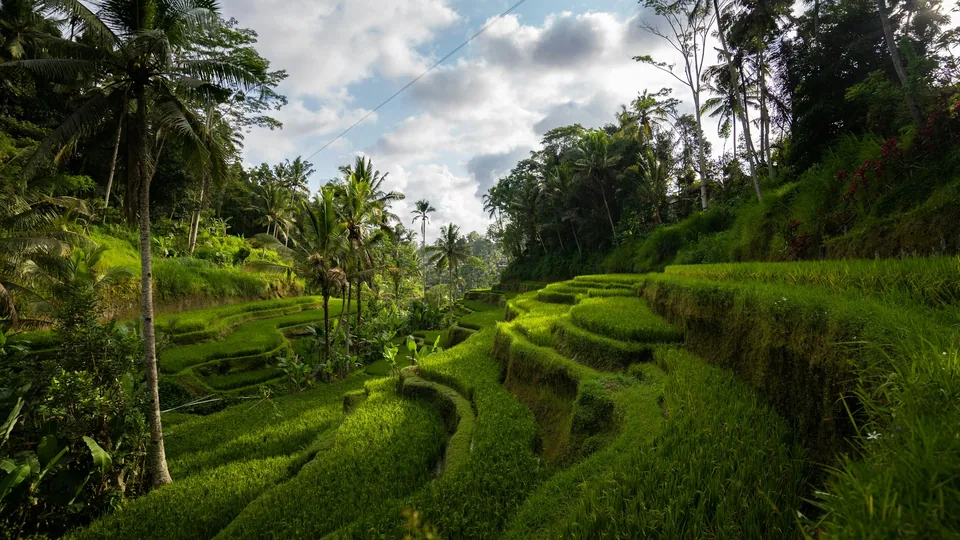 🛕 Tailandia e Indonesia: 12 Días a tu aire + Playa