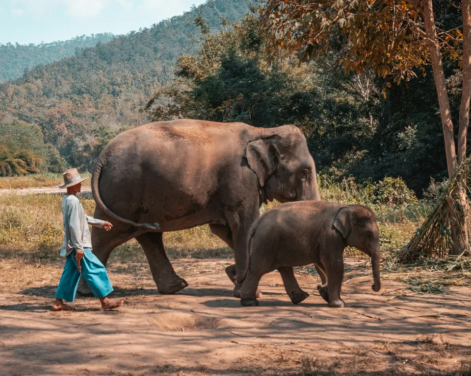 🌺 Tailandia: 15 días A Tu Aire + Hotel + Vuelos
