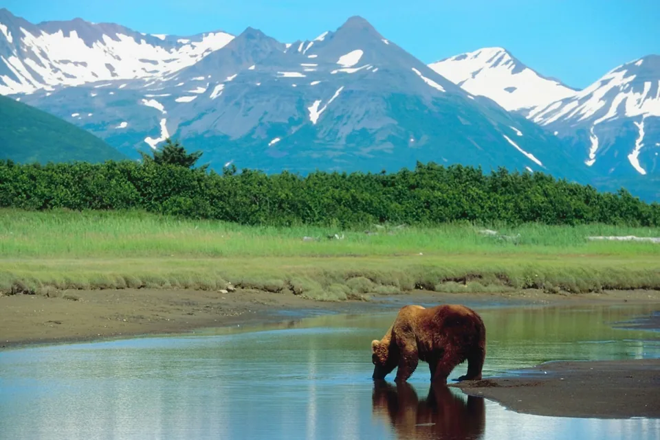 🐻 Yellowstone: 15 días a Tu Aire 🚗 + Hoteles + Vuelos