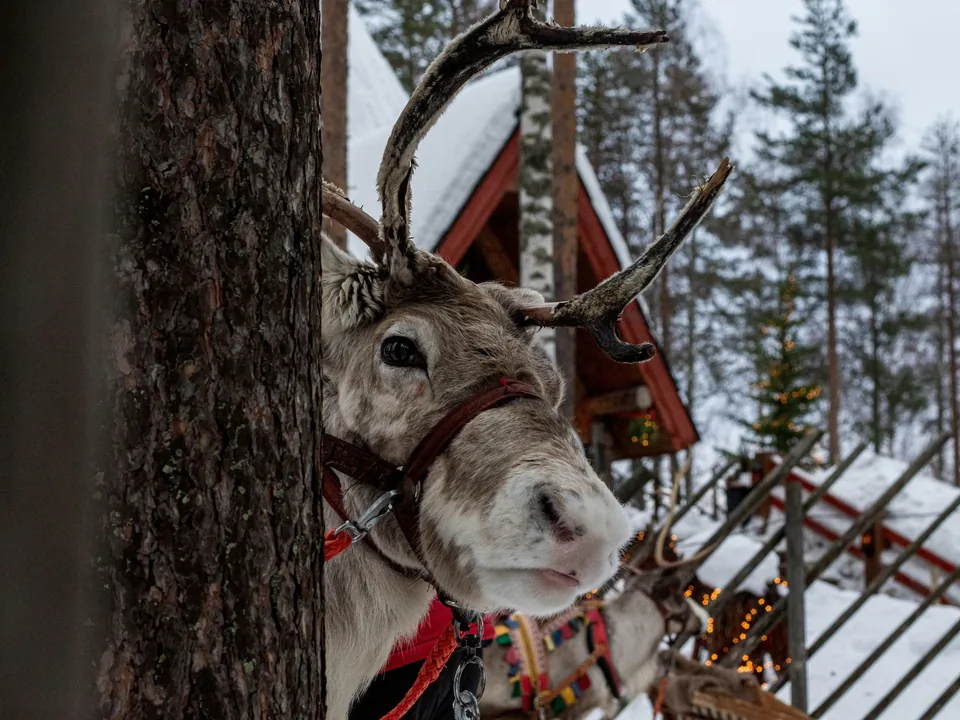 🎅 Helsinki y Rovaniemi: 7 Días a Tu Aire + Hoteles + Vuelos
