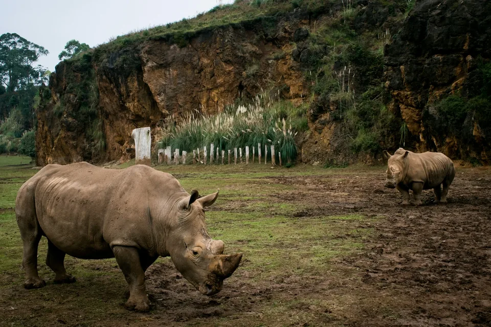 🌲 Cantabria: Escapada de Fin de Semana con visita a Cabárceno