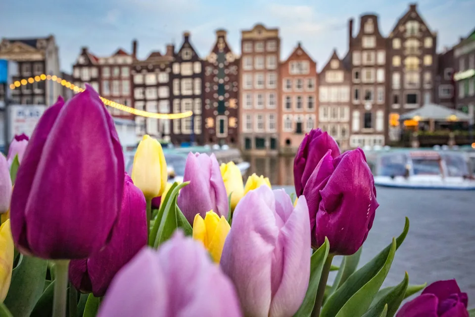 🏛️ Berlín y Ámsterdam: 7 Días + Hotel + Vuelos