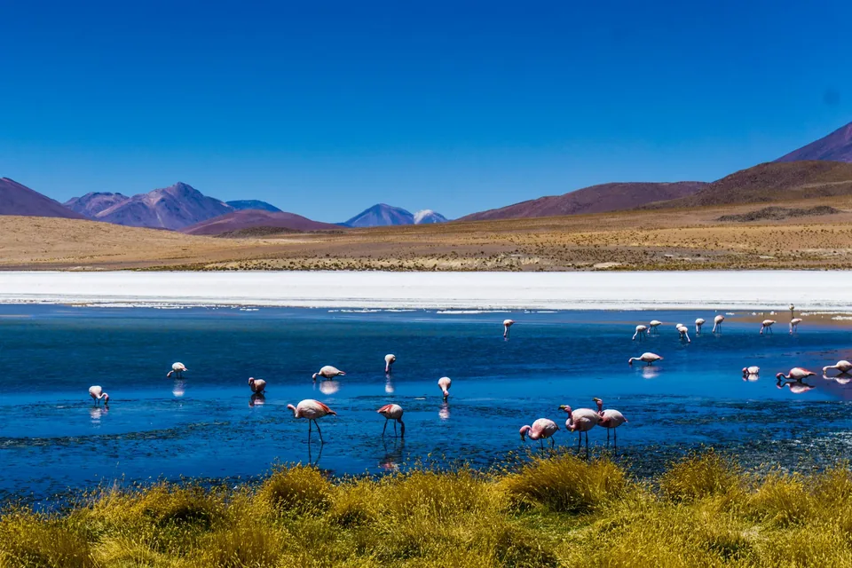🦙 Bolivia y Perú: Circuito de 16 Días + Hotel + Vuelos