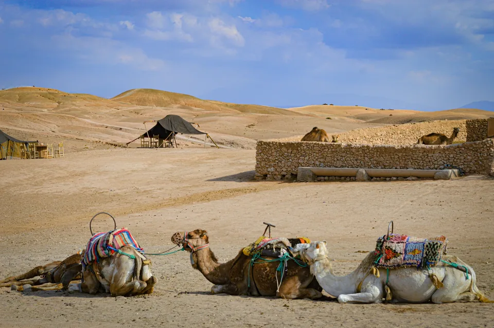 🕌 ¡Ruta Imperial! Circuito clásico por Marruecos de 8 días 🐪