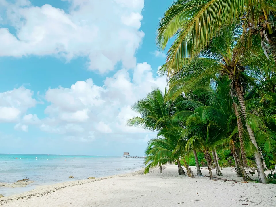 🛥️ Crucero por el Caribe: 10 días + Hotel + Vuelos