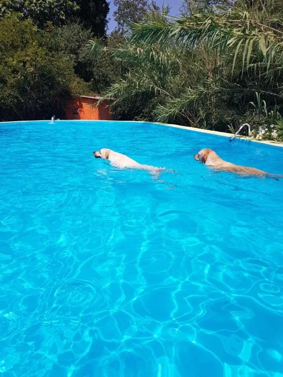 🌄Parets d'Empordà : Hotel 3* + Desayuno + 🐾
